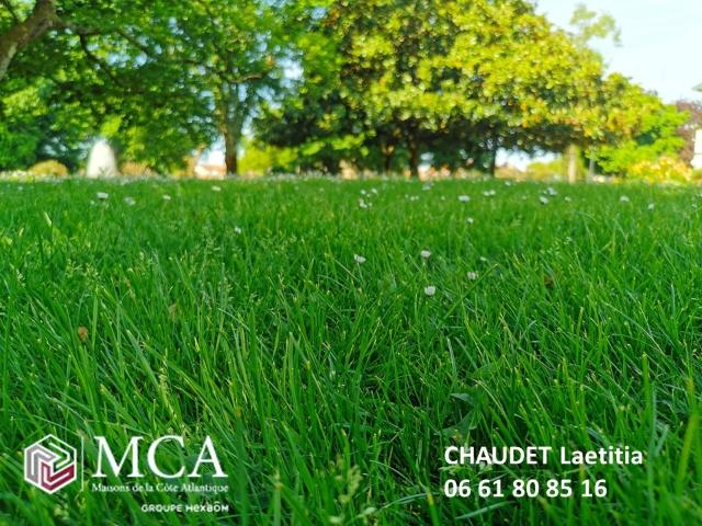 Terrain 400 m2 salles