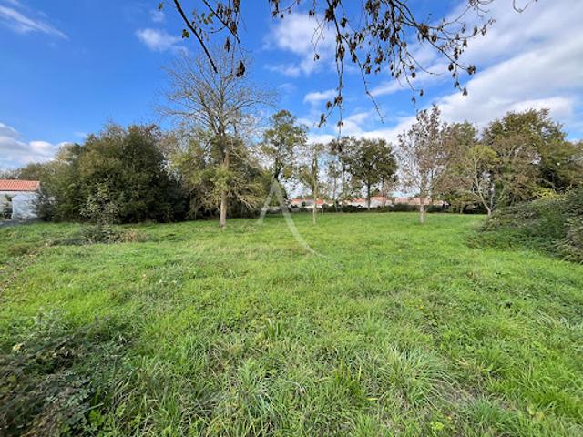 Terrain 4022 m2