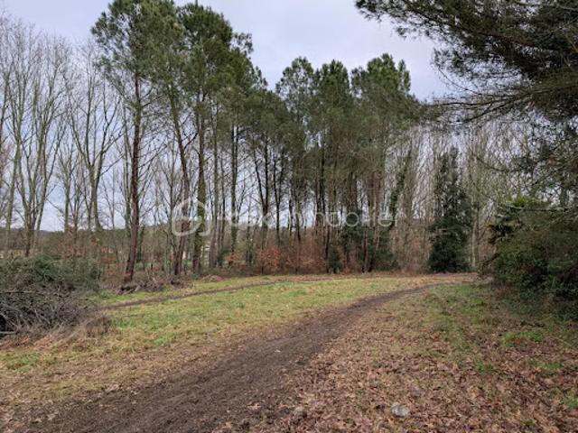 Terrain 4154 m2