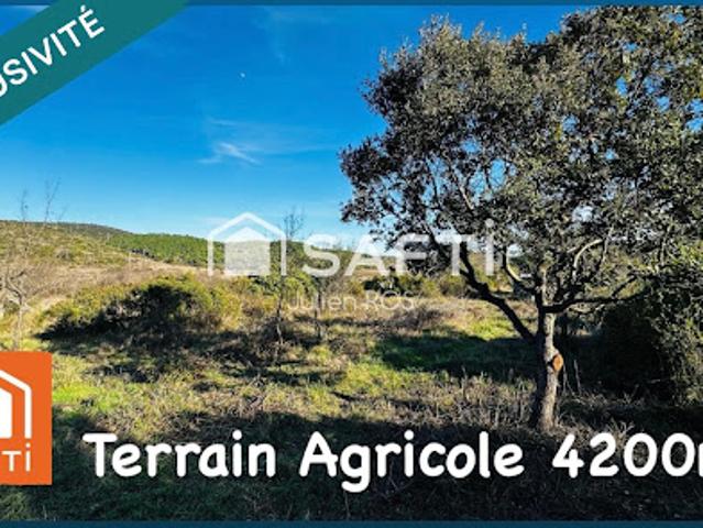Terrain 4185 m2