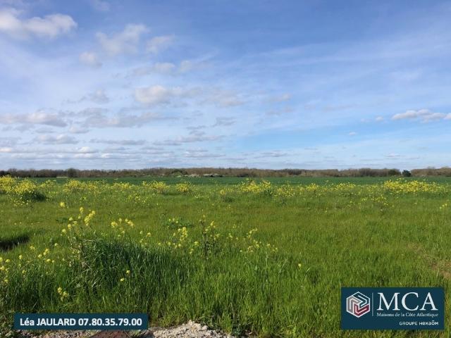 Terrain 419 m2 bourgneuf