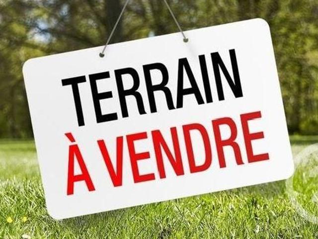 Terrain