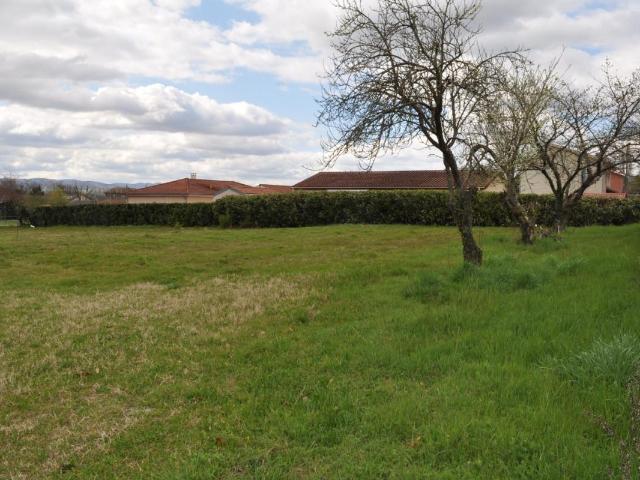 Terrain