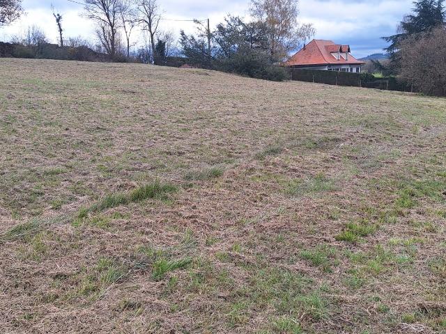 Terrain 4 002 m²