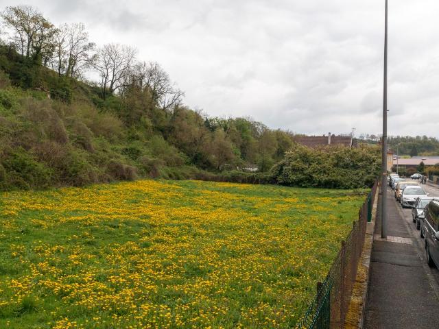 Terrain 4 561 m² Belfort 90