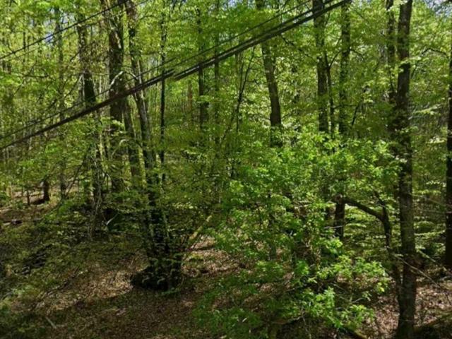 Terrain 4 600 m²