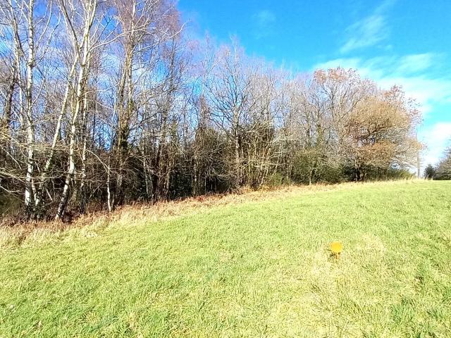 Terrain 4 772 m²