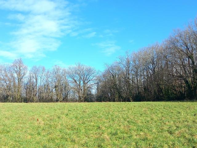 Terrain 4 859 m²