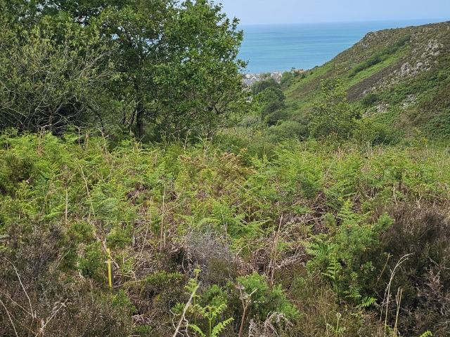 Terrain 4 924 m²