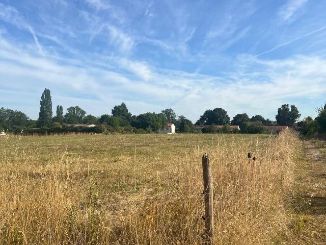 Terrain 4 992 m²
