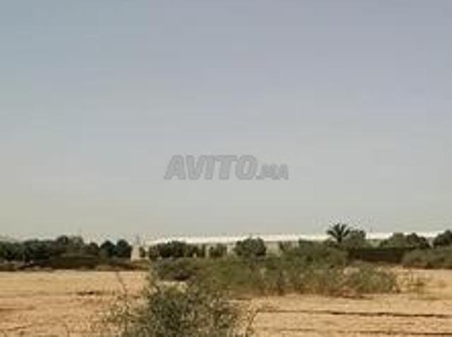 Terrain 4 hectares Tetsi 37km Taroudant