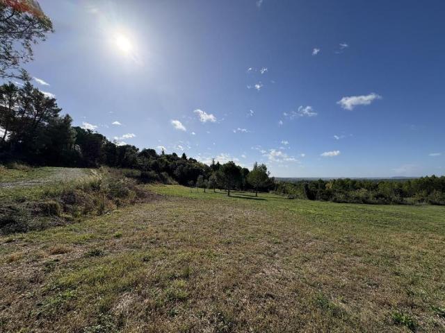 Terrain