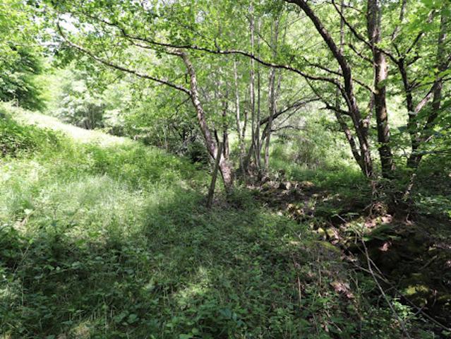 Terrain 5402 m2
