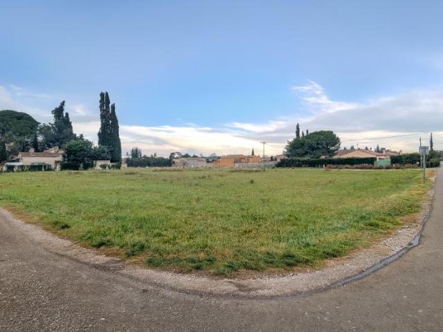 Terrain