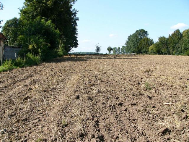 Terrain