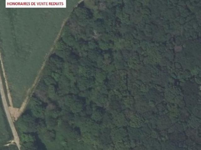 Terrain 5440m ²