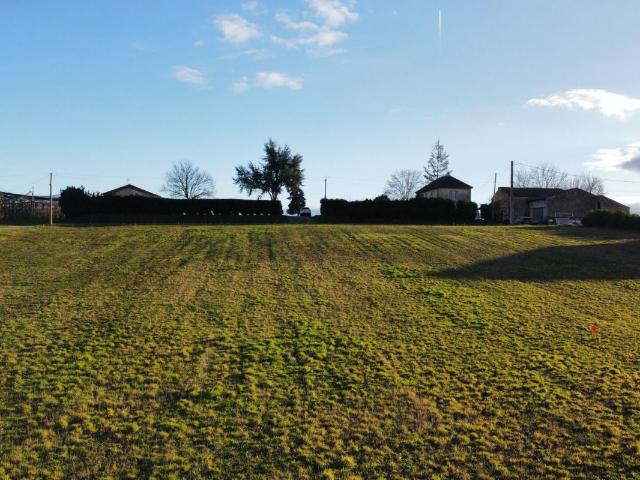 Terrain