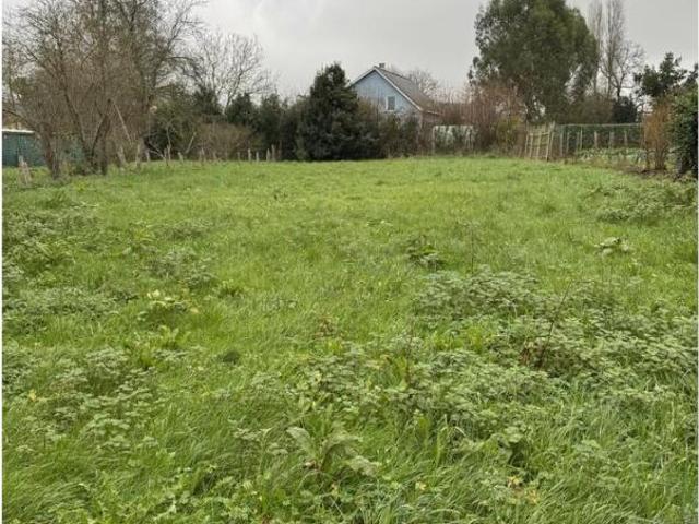 Terrain