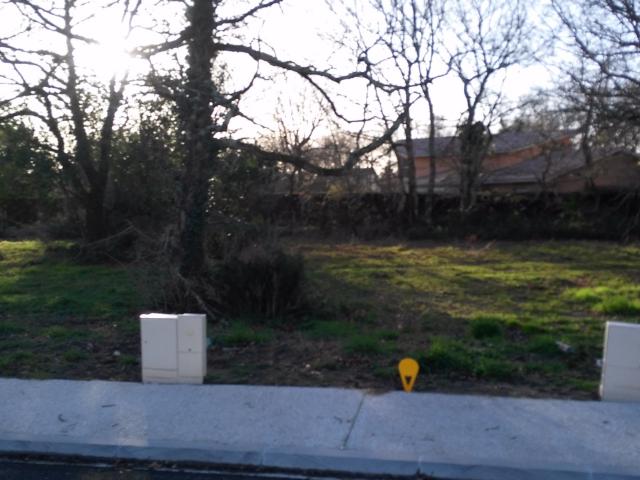 Terrain 550 m2 parentis en born