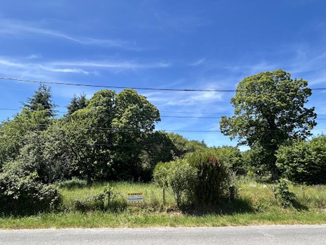 Terrain 5541 m2