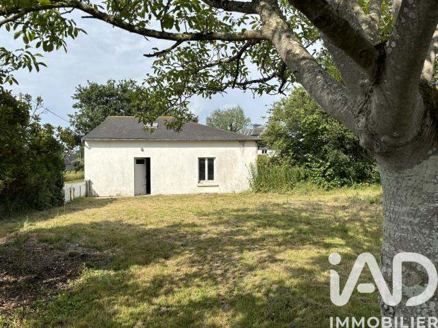 Terrain 555 m²