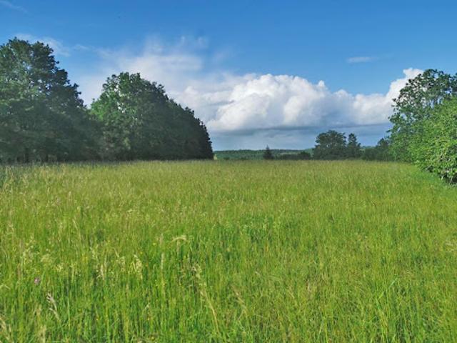 Terrain 5580 m2