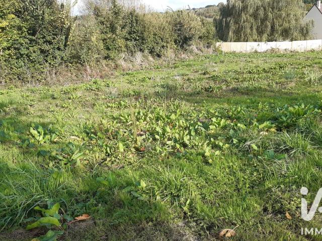 Terrain 558 m²