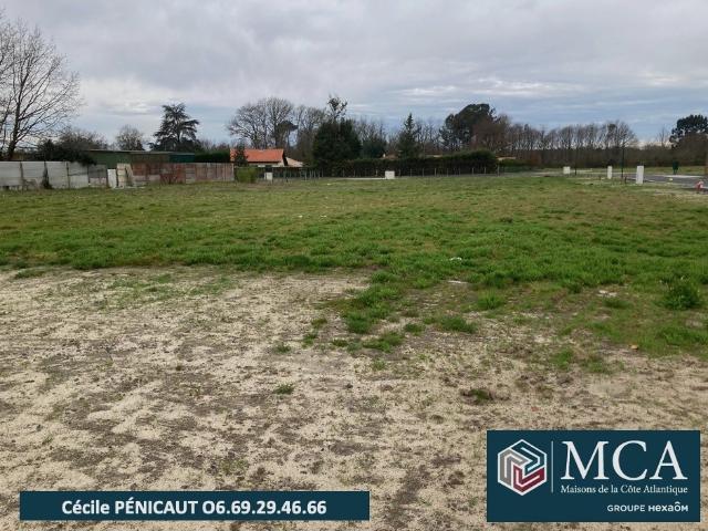 Terrain 567 m2 gousse