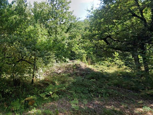 Terrain 5742 m2