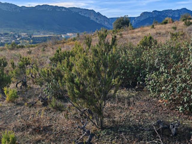 Terrain 5805 m2