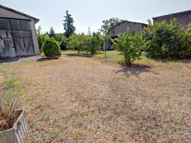 Terrain