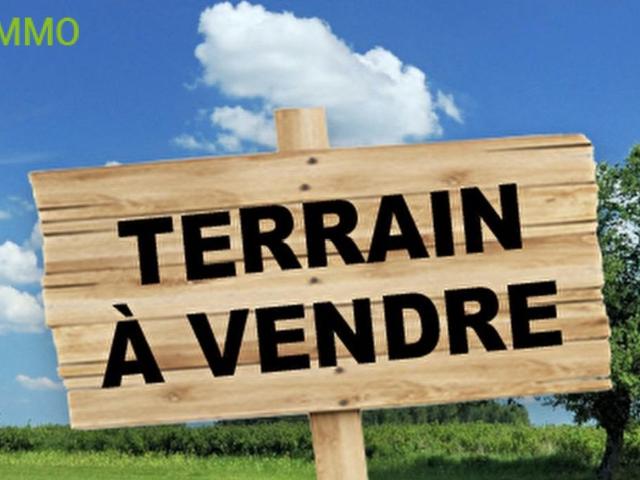 Terrain