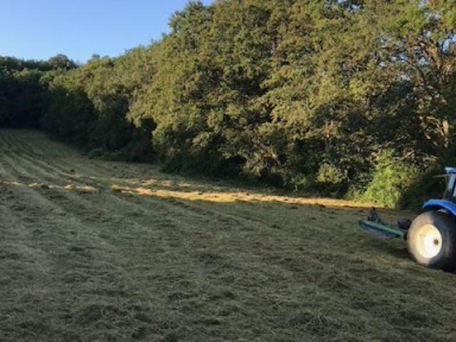 Terrain 5990 m2