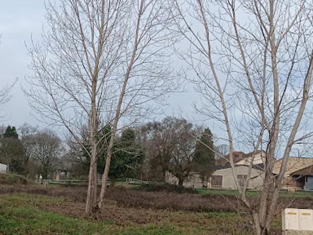 Terrain 5000 m2