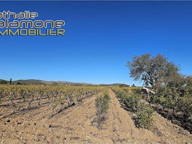 Terrain 5001 m2