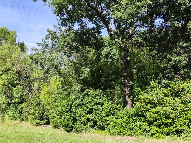 Terrain 500 m²