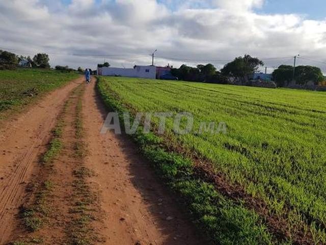 Terrain 500 ou 1000 m2 près Tamaris II Route Azemmour