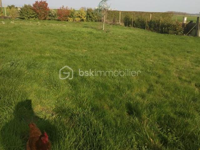 Terrain 501 m2 lèves