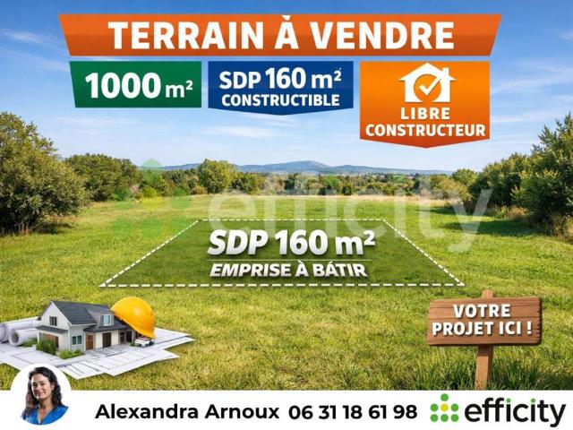 Terrain