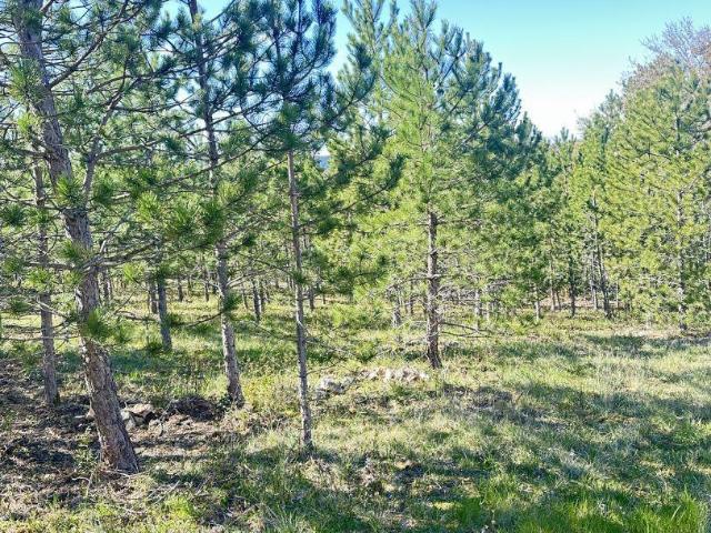 Terrain 512 m²