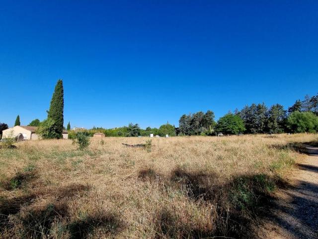 Terrain