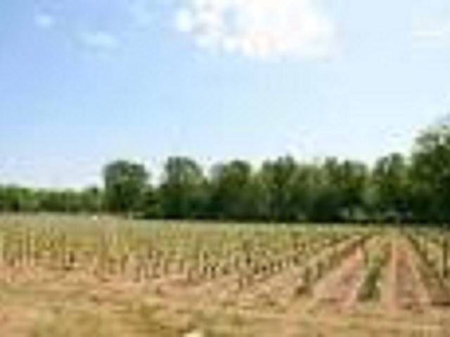 Terrain 515 m2 cerons