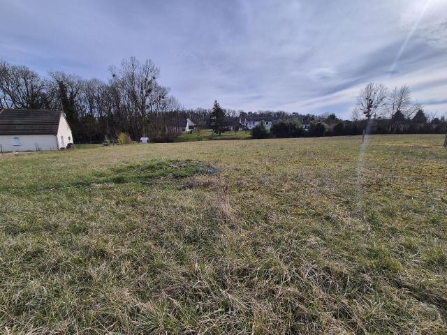 Terrain