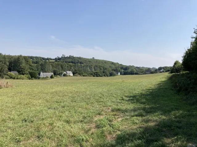 Terrain 531 m2
