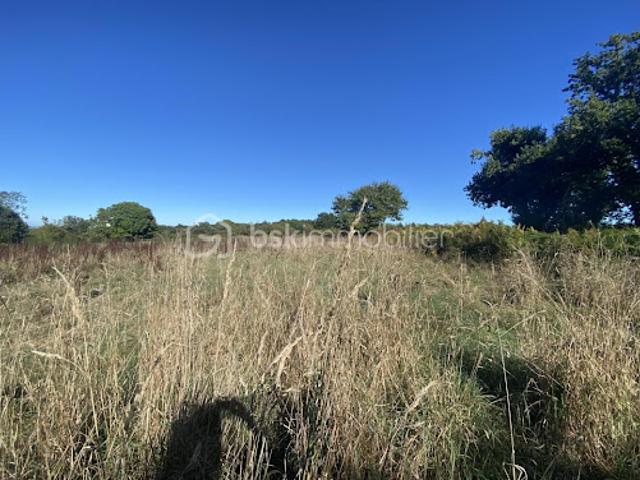 Terrain 5338 m2