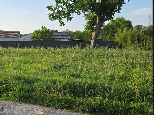 Terrain 537 m2 peujard