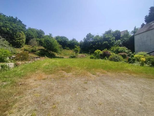 Terrain