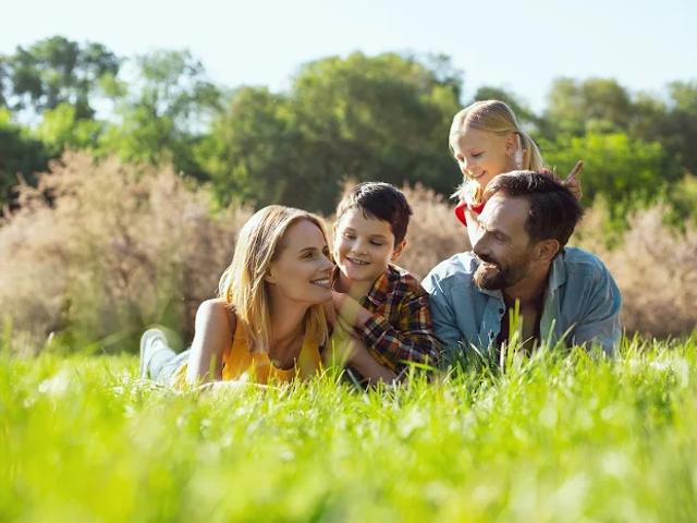 Terrain 536 m2