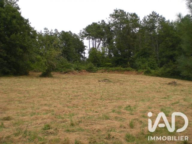 Terrain 5 000 m²