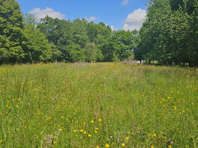 Terrain 5 181 m²